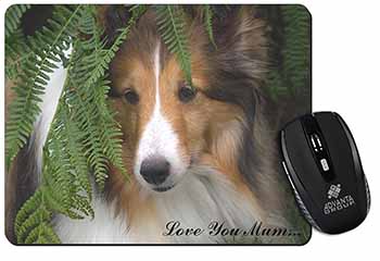 Shetland Sheepdog 