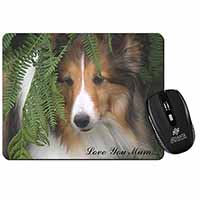 Shetland Sheepdog 