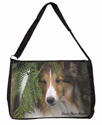 Shetland Sheepdog 