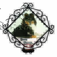 Shetland Sheepdog 