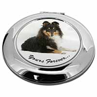 Shetland Sheepdog 