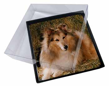 4x Sheltie on Hay Bale Picture Table Coasters Set in Gift Box