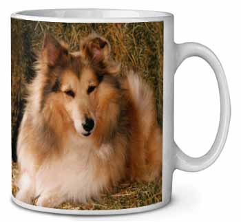 Sheltie on Hay Bale Ceramic 10oz Coffee Mug/Tea Cup