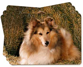 Sheltie on Hay Bale Picture Placemats in Gift Box