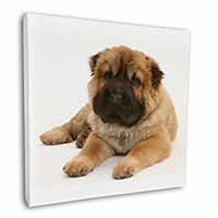 Bear Coated Shar-Pei Puppy Dog Square Canvas 12"x12" Wall Art Picture Print