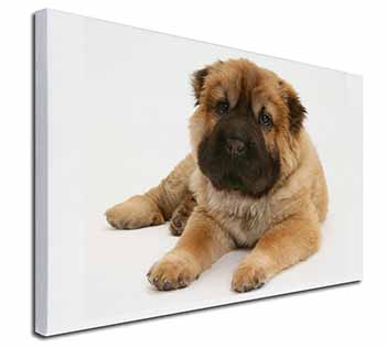 Bear Coated Shar-Pei Puppy Dog Canvas X-Large 30"x20" Wall Art Print