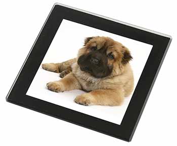 Bear Coated Shar-Pei Puppy Dog Black Rim High Quality Glass Coaster