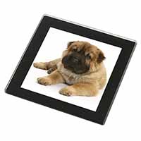 Bear Coated Shar-Pei Puppy Dog Black Rim High Quality Glass Coaster