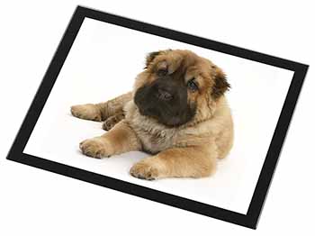 Bear Coated Shar-Pei Puppy Dog Black Rim High Quality Glass Placemat