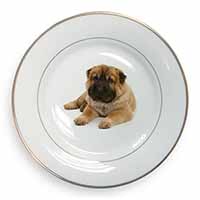 Bear Coated Shar-Pei Puppy Dog Gold Rim Plate Printed Full Colour in Gift Box