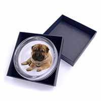 Bear Coated Shar-Pei Puppy Dog Glass Paperweight in Gift Box