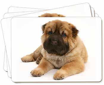 Bear Coated Shar-Pei Puppy Dog Picture Placemats in Gift Box