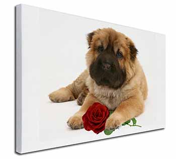 Shar Pei Dog with Red Rose Canvas X-Large 30"x20" Wall Art Print