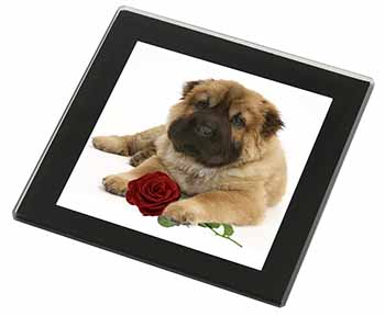 Shar Pei Dog with Red Rose Black Rim High Quality Glass Coaster