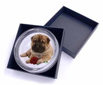 Shar Pei Dog with Red Rose Glass Paperweight in Gift Box