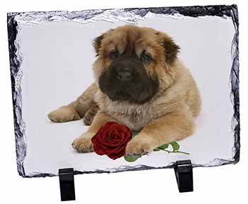 Shar Pei Dog with Red Rose, Stunning Photo Slate