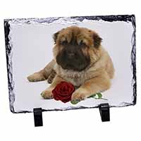 Shar Pei Dog with Red Rose, Stunning Photo Slate