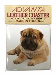 Bear Coated Shar-Pei Puppy Dog Single Leather Photo Coaster