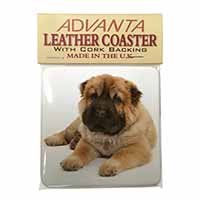 Bear Coated Shar-Pei Puppy Dog Single Leather Photo Coaster