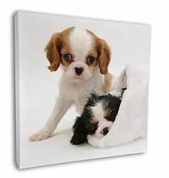 Cavalier King Charles Spaniels Square Canvas 12"x12" Wall Art Picture Print