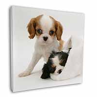 Cavalier King Charles Spaniels Square Canvas 12"x12" Wall Art Picture Print