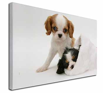 Cavalier King Charles Spaniels Canvas X-Large 30"x20" Wall Art Print