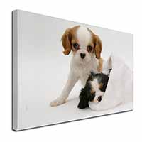 Cavalier King Charles Spaniels Canvas X-Large 30"x20" Wall Art Print