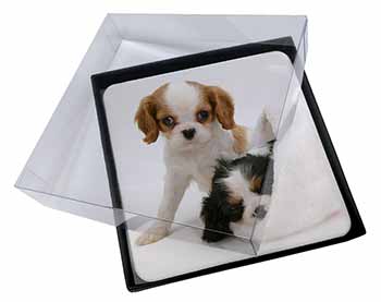 4x Cavalier King Charles Spaniels Picture Table Coasters Set in Gift Box
