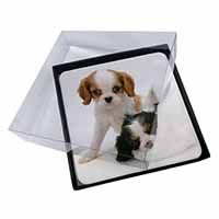 4x Cavalier King Charles Spaniels Picture Table Coasters Set in Gift Box