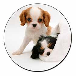 Cavalier King Charles Spaniels Fridge Magnet Printed Full Colour