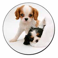 Cavalier King Charles Spaniels Fridge Magnet Printed Full Colour