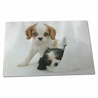 Large Glass Cutting Chopping Board Cavalier King Charles Spaniels