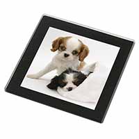 Cavalier King Charles Spaniels Black Rim High Quality Glass Coaster