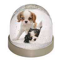 Cavalier King Charles Spaniels Snow Globe Photo Waterball
