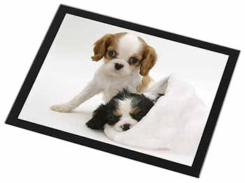 Cavalier King Charles Spaniels Black Rim High Quality Glass Placemat