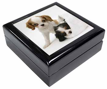 Cavalier King Charles Spaniels Keepsake/Jewellery Box