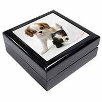 Cavalier King Charles Spaniels Keepsake/Jewellery Box