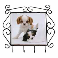 Cavalier King Charles Spaniels Wrought Iron Key Holder Hooks