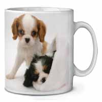 Cavalier King Charles Spaniels Ceramic 10oz Coffee Mug/Tea Cup