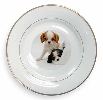 Cavalier King Charles Spaniels Gold Rim Plate Printed Full Colour in Gift Box