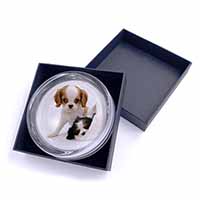 Cavalier King Charles Spaniels Glass Paperweight in Gift Box