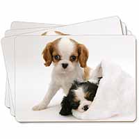 Cavalier King Charles Spaniels Picture Placemats in Gift Box