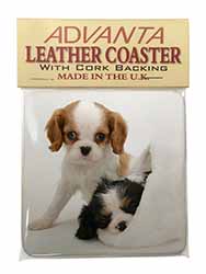 Cavalier King Charles Spaniels Single Leather Photo Coaster