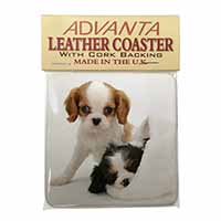 Cavalier King Charles Spaniels Single Leather Photo Coaster