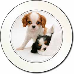 Cavalier King Charles Spaniels Car or Van Permit Holder/Tax Disc Holder