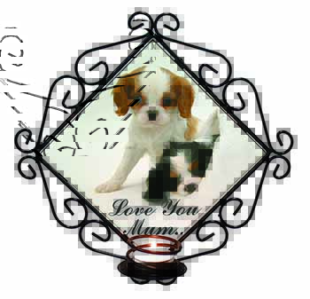 Cavalier King Charles 