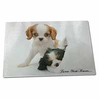 Large Glass Cutting Chopping Board Cavalier King Charles 