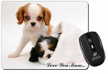 Cavalier King Charles 