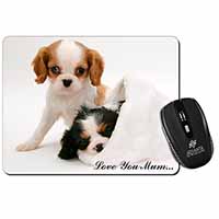 Cavalier King Charles 