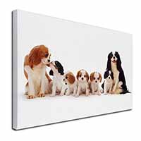King Charles Spaniel Dogs Canvas X-Large 30"x20" Wall Art Print